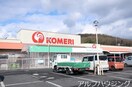 コメリ(電気量販店/ホームセンター)まで150m メデリスⅠ