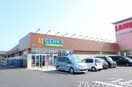 餃子の王将(その他飲食（ファミレスなど）)まで1000m メデリスⅠ