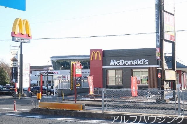 TSUTAYA(ビデオ/DVD)まで1000m ヴィオラ