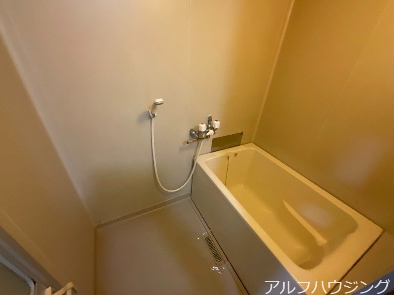  フォーブルイワイA