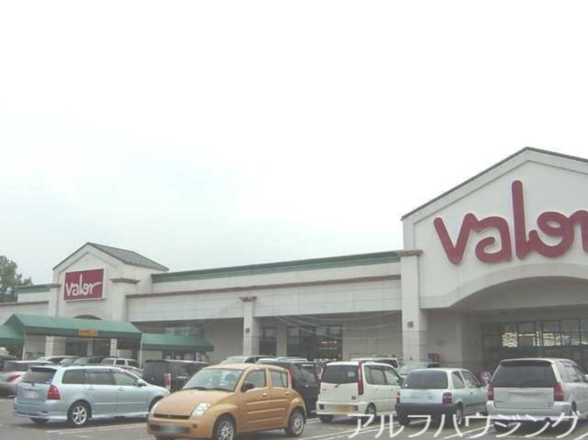 バロー根本店(スーパー)まで726m ソレイユ