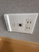  アイリス