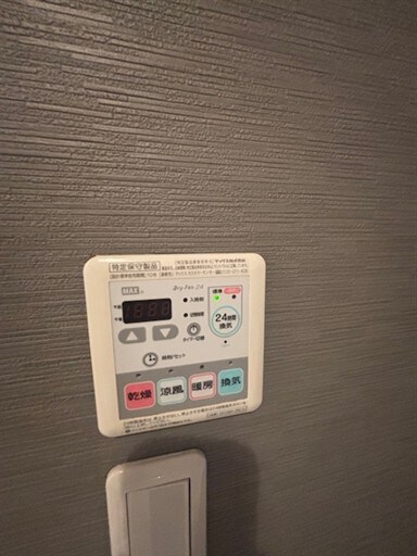  アイリス