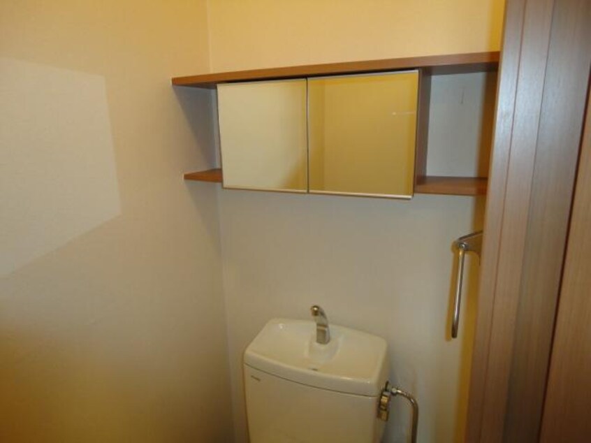 トイレ鏡付収納 グリーンパレス