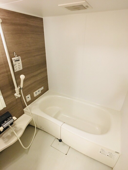  アジャート手城