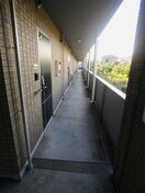  アジャート手城