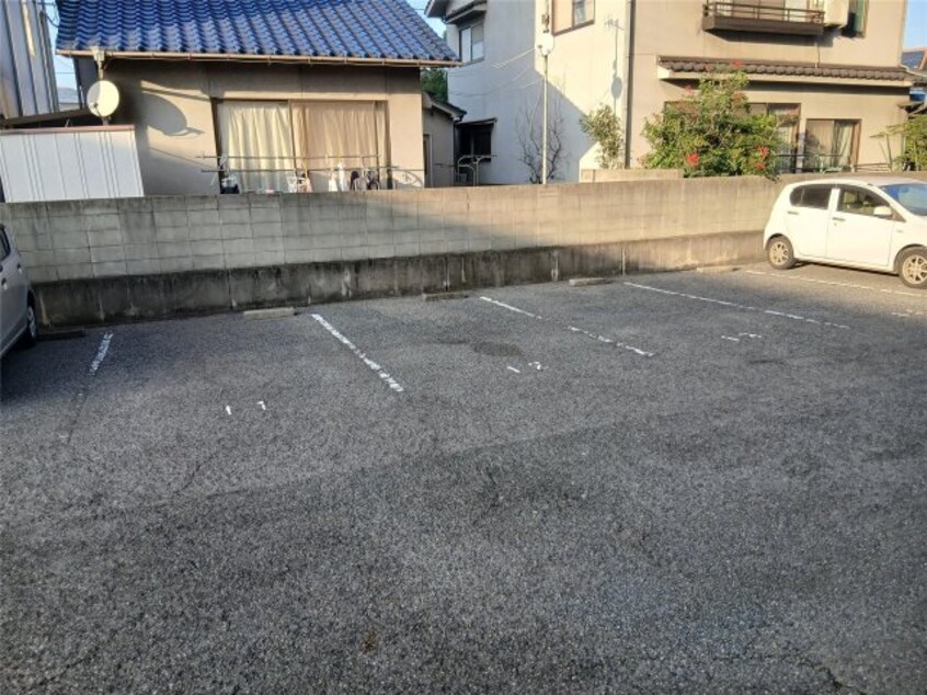  コスモス南蔵王