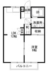 山根ハイツ 1LDKの間取り