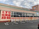 スーパードラッグひまわり 戸手店(ドラッグストア)まで1594m 山根ハイツ