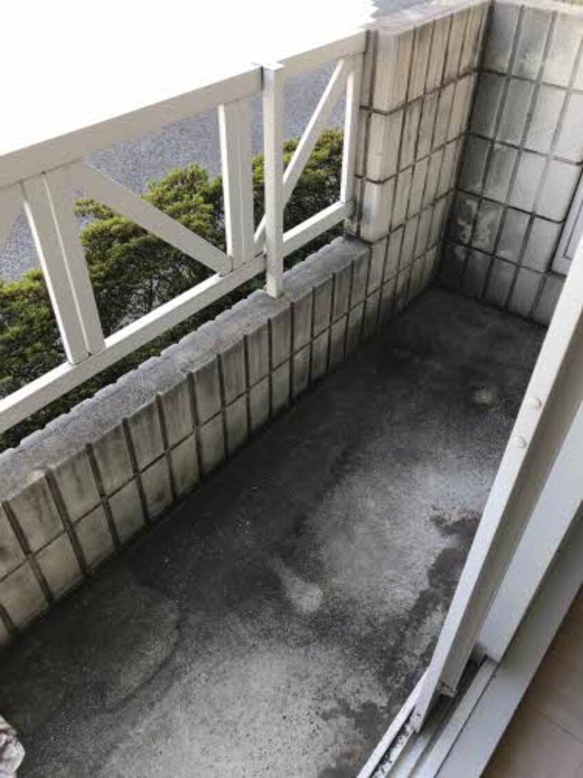  セフィラT・A・P　B棟