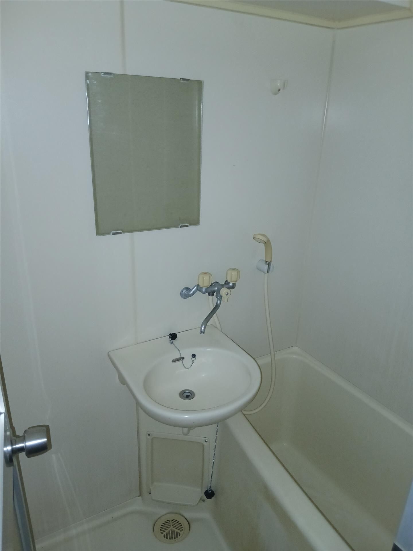  コスモス南蔵王