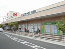ハローズ手城店まで950m グランデ　パラッツオⅡ
