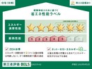  ベル　ルミエールⅡ