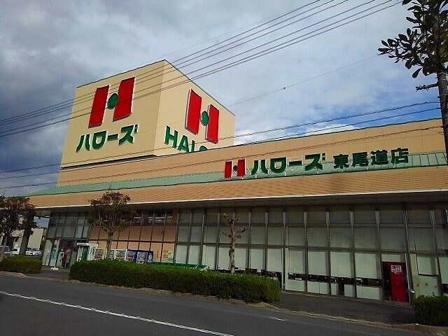 ハローズ東尾道店まで300m フリーダムスペース亜未