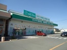 ザグザグ駅家店(ドラッグストア)まで1997m ロイセレストＡ