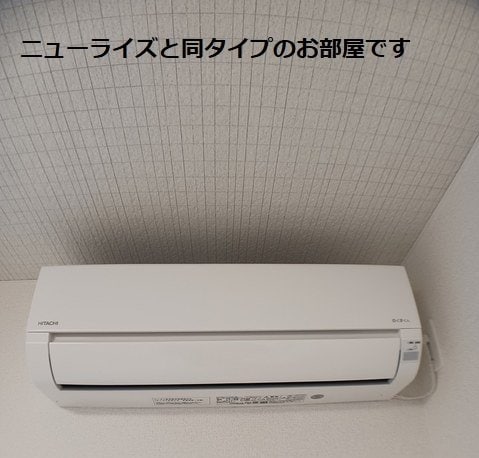  ロイセレストＢ