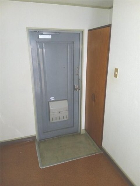  パラツイーナ光南