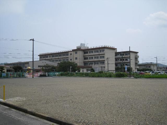 新涯市立小学校まで404ｍ 愛瑠