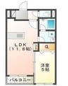 メゾンアイリス 1LDKの間取り