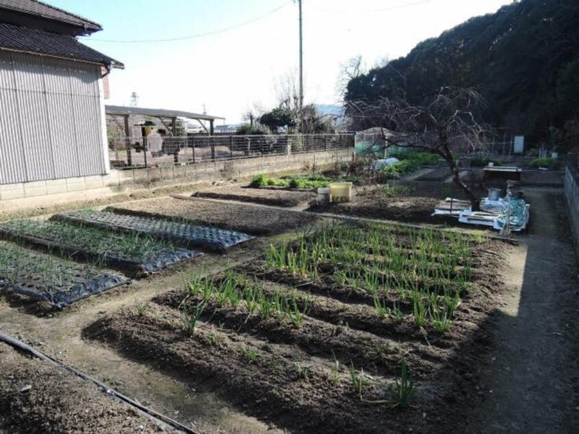  平川住宅