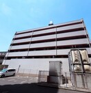 グロリオサの外観