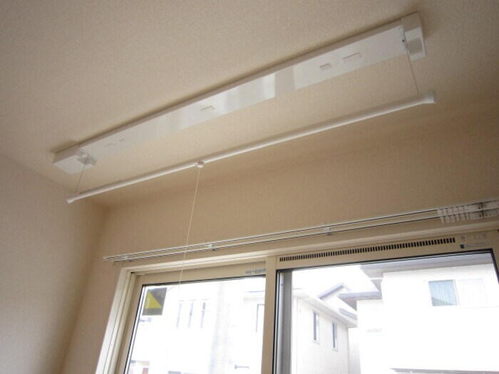  D-roomビオラ