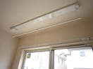  D-roomビオラ
