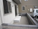  D-roomビオラ