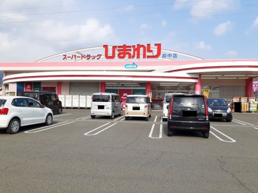 ひまわり府中店まで2000m カルモ