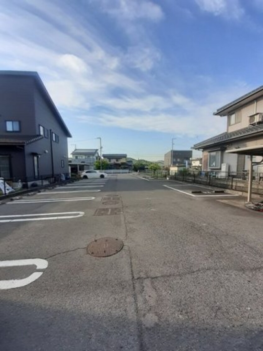  サニー　ヴィオラ