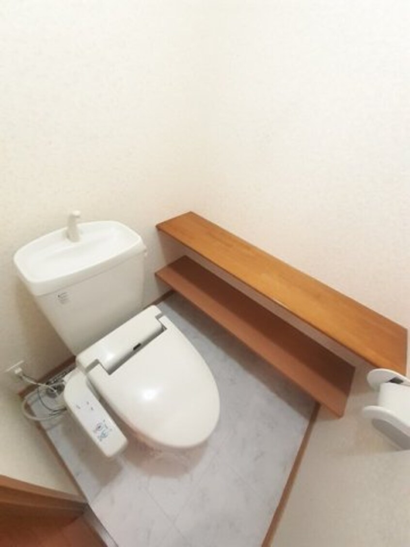  サニー　ヴィオラ