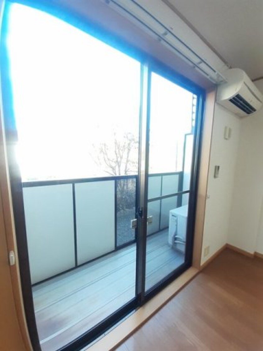  サニー　ヴィオラ