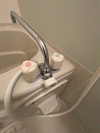  アイリス