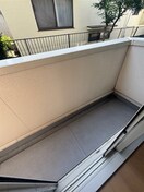  アイリス