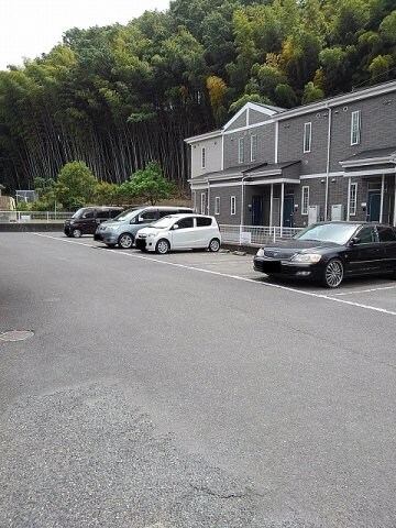  シャングリラＭ