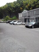  シャングリラＭ