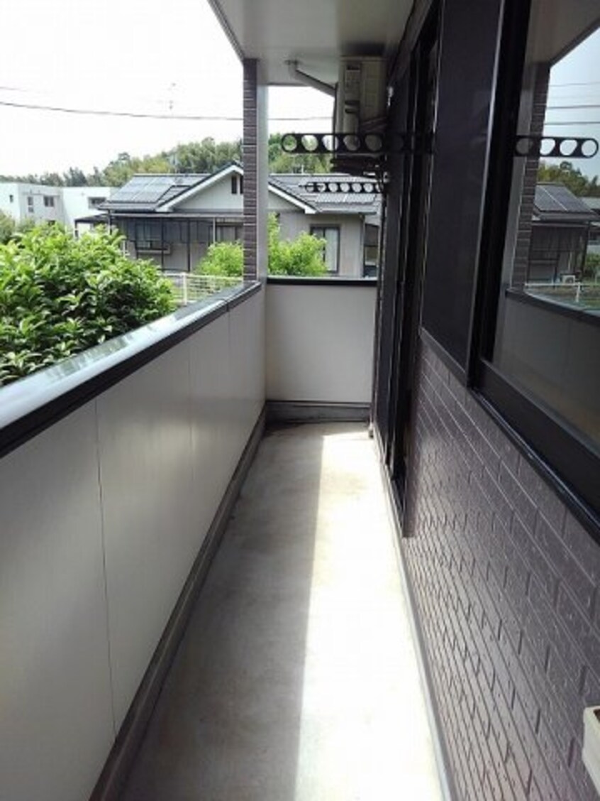  シャングリラＭ