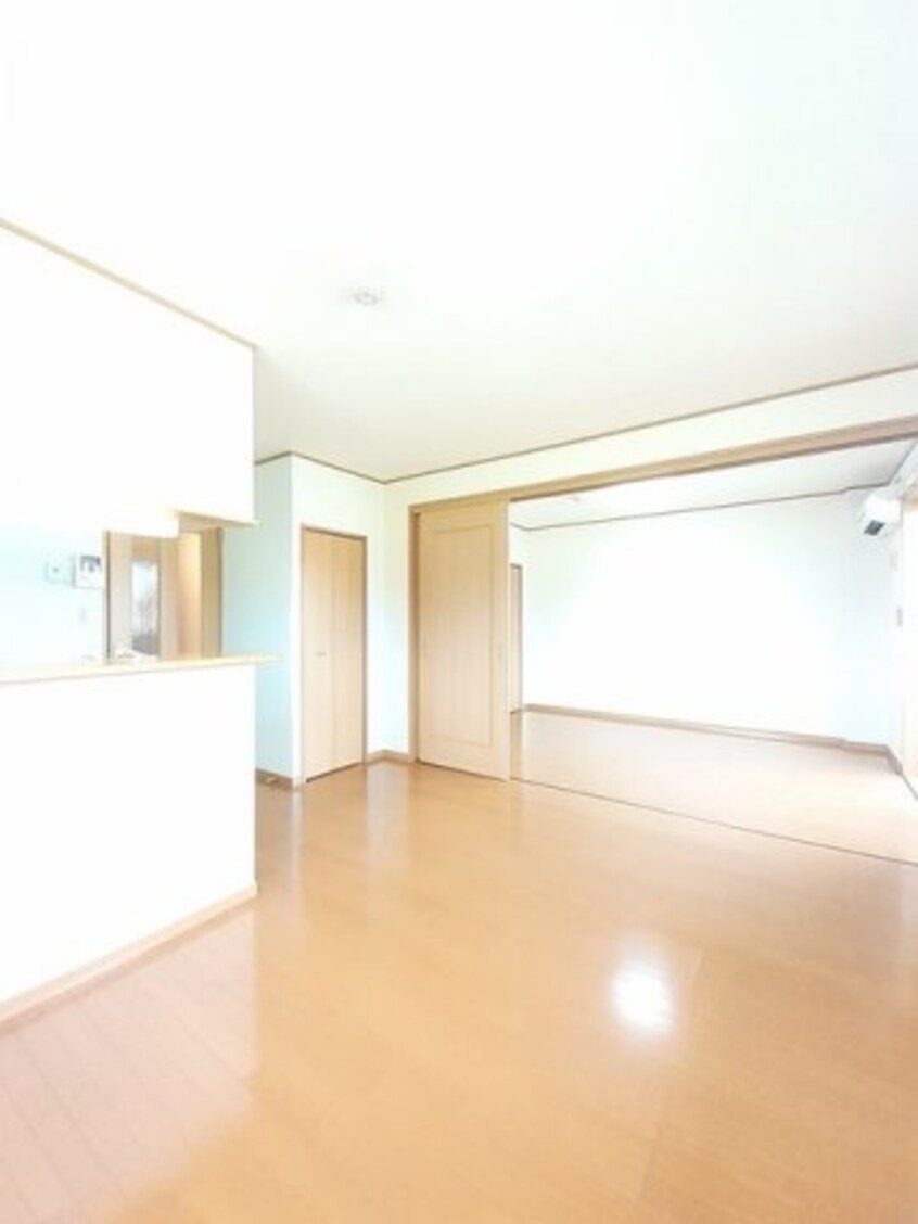  サニー　ヴィオラ