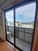  サニー　ヴィオラ