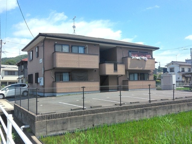  サンフラワー