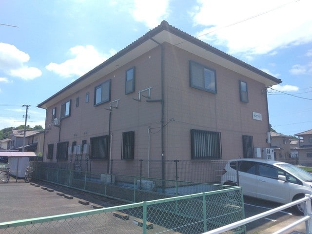  サンフラワー