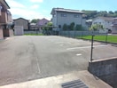  サンフラワー