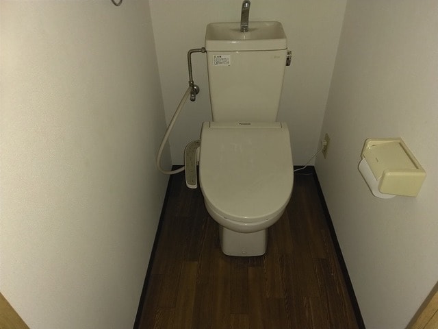  サンフラワー