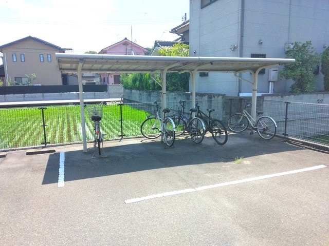  サンフラワー