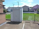  サンフラワー