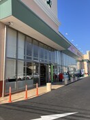  D-ROOMフィオーレ