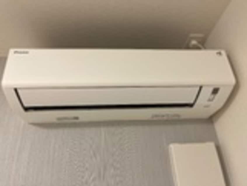  ハレカピリナ新涯