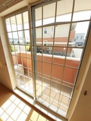  スプリングⅡ　Ｂ