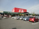 ユーホー伊勢丘店（ホームセンター）まで629ｍ フェニックス