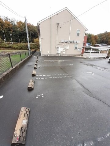  チェリー　ブラッサムズ